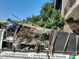 Best Estate Cleanout  in Cave Creek, AZ