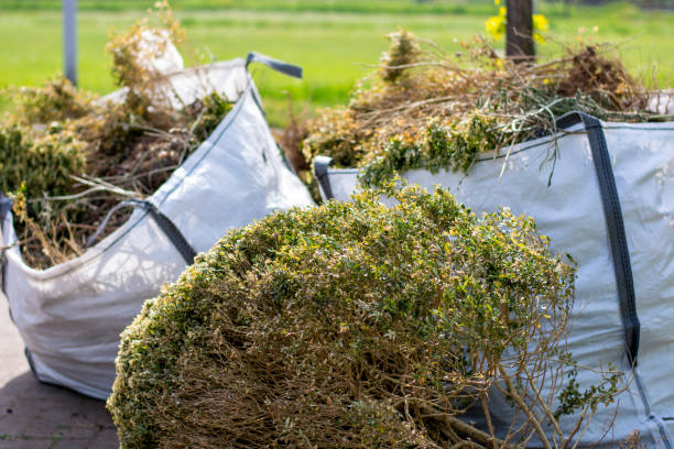 Best Demolition Debris Removal  in Cave Creek, AZ