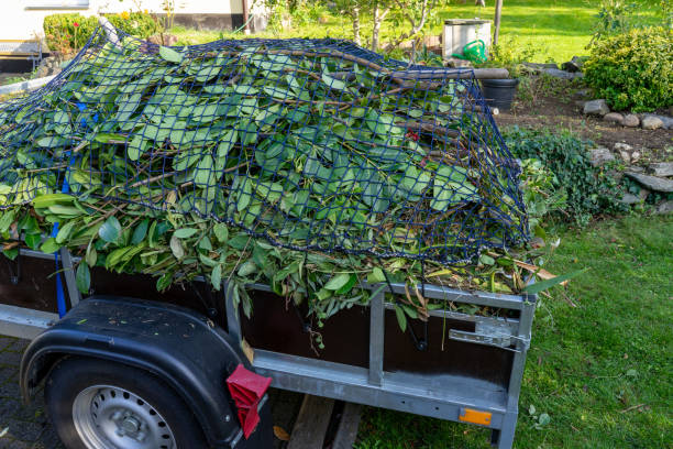 Best Commercial Junk Removal  in Cave Creek, AZ